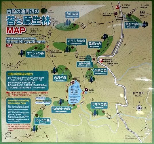 10-2白駒池周辺Map.jpg